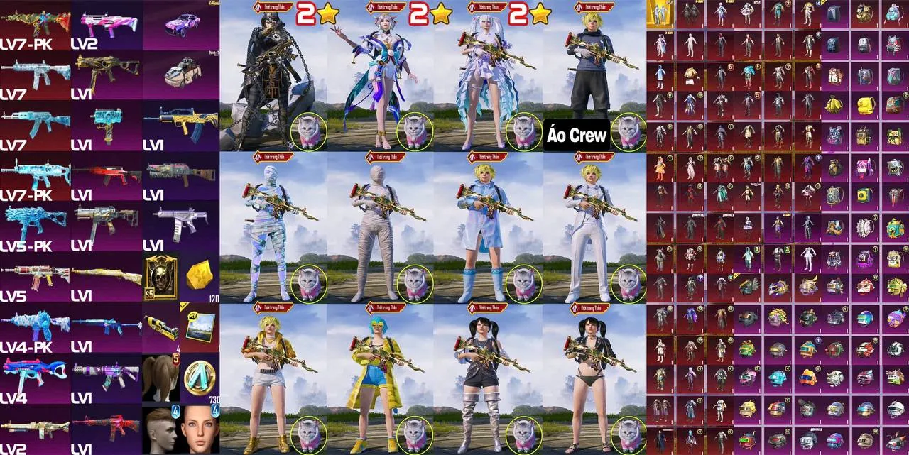 HCC